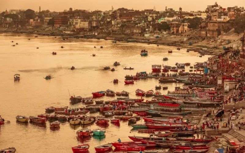 Kashi Vishwanath Special Darshan